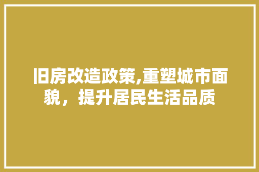 旧房改造政策,重塑城市面貌，提升居民生活品质