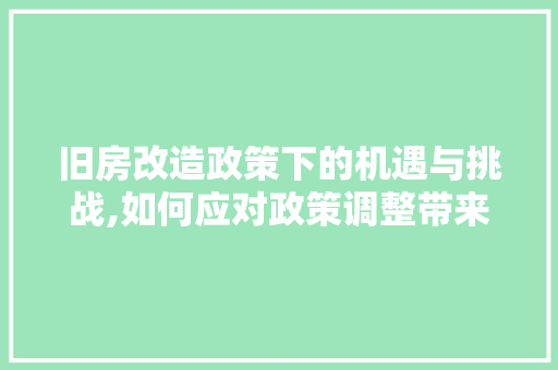 旧房改造政策下的机遇与挑战,如何应对政策调整带来的烦恼