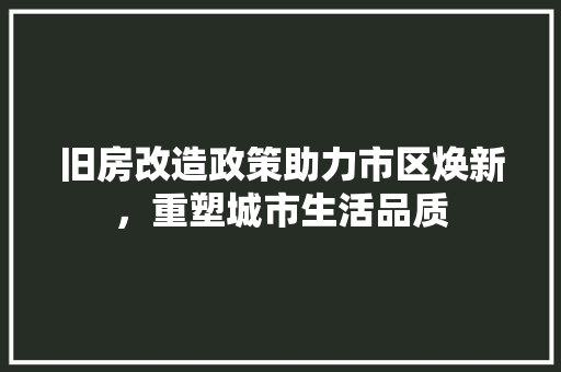 旧房改造政策助力市区焕新，重塑城市生活品质 厨房维修