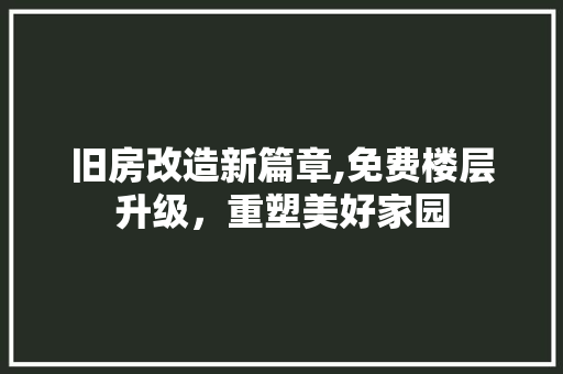旧房改造新篇章,免费楼层升级，重塑美好家园