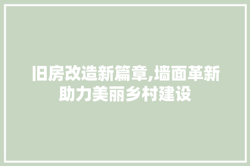 旧房改造新篇章,墙面革新助力美丽乡村建设