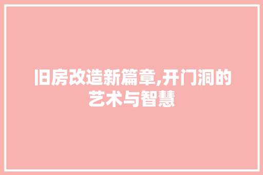 旧房改造新篇章,开门洞的艺术与智慧