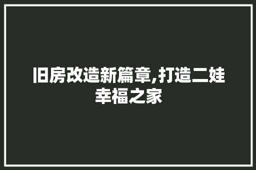 旧房改造新篇章,打造二娃幸福之家