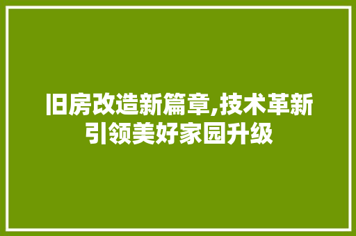 旧房改造新篇章,技术革新引领美好家园升级