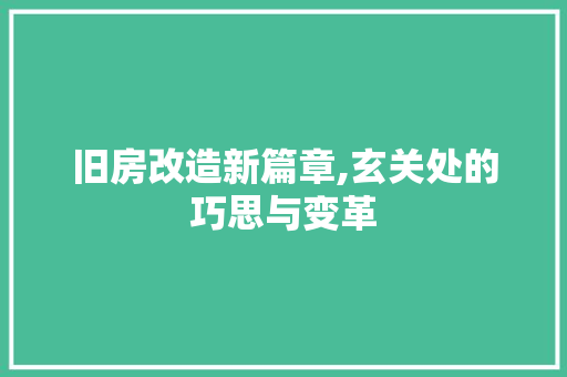 旧房改造新篇章,玄关处的巧思与变革