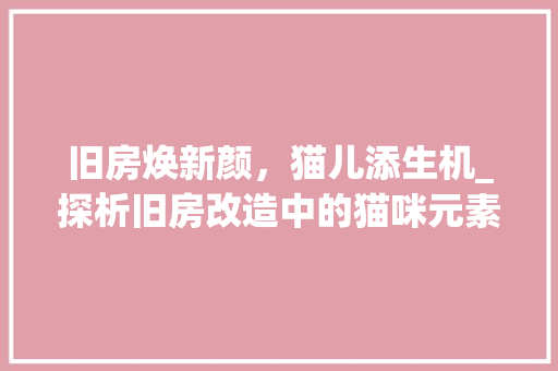 旧房焕新颜，猫儿添生机_探析旧房改造中的猫咪元素