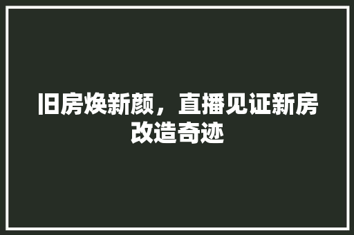 旧房焕新颜，直播见证新房改造奇迹