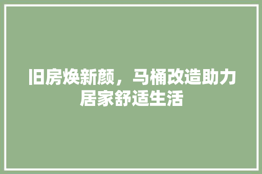 旧房焕新颜，马桶改造助力居家舒适生活