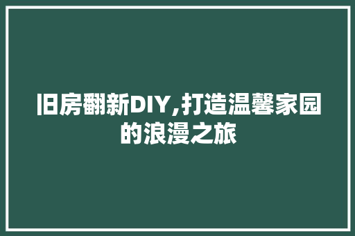 旧房翻新DIY,打造温馨家园的浪漫之旅
