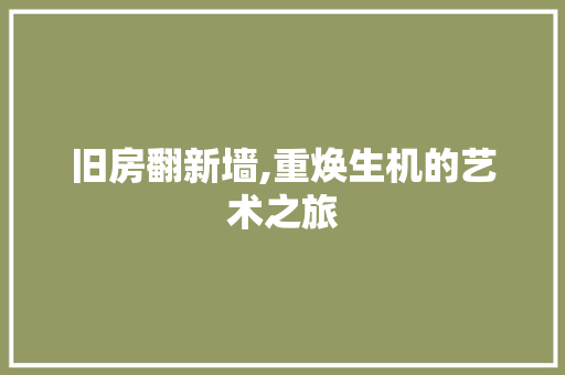 旧房翻新墙,重焕生机的艺术之旅