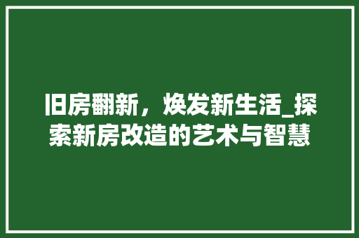 旧房翻新，焕发新生活_探索新房改造的艺术与智慧