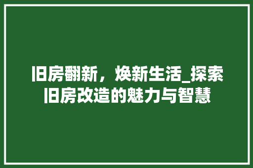 旧房翻新，焕新生活_探索旧房改造的魅力与智慧