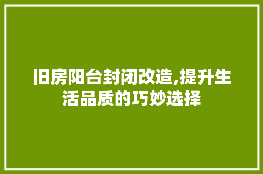 旧房阳台封闭改造,提升生活品质的巧妙选择