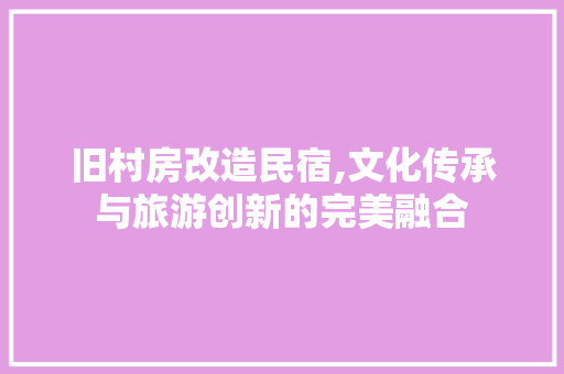 旧村房改造民宿,文化传承与旅游创新的完美融合