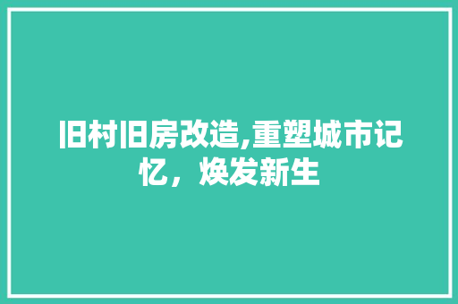 旧村旧房改造,重塑城市记忆，焕发新生