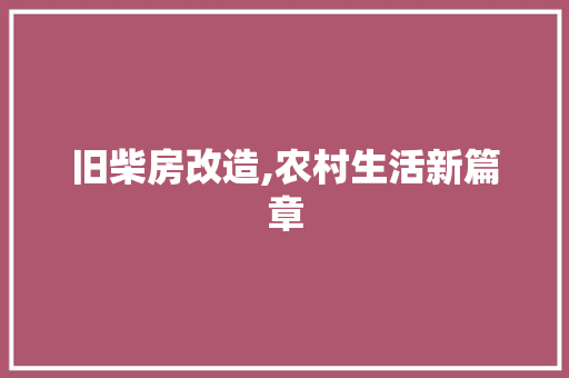 旧柴房改造,农村生活新篇章