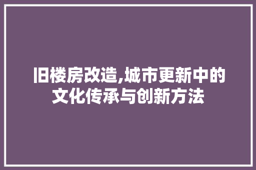 旧楼房改造,城市更新中的文化传承与创新方法