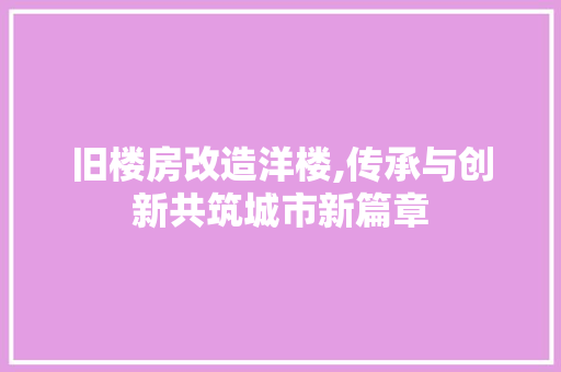 旧楼房改造洋楼,传承与创新共筑城市新篇章