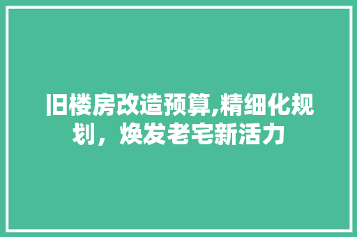 旧楼房改造预算,精细化规划，焕发老宅新活力