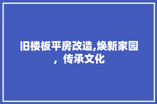 旧楼板平房改造,焕新家园，传承文化