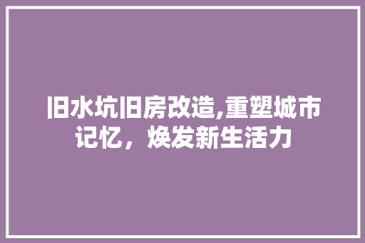 旧水坑旧房改造,重塑城市记忆，焕发新生活力