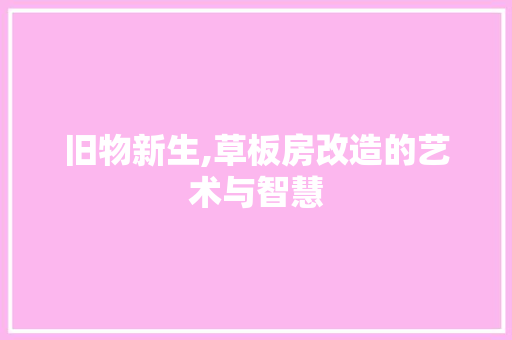 旧物新生,草板房改造的艺术与智慧