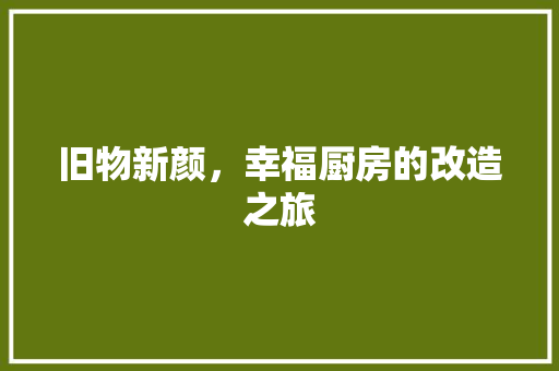 旧物新颜，幸福厨房的改造之旅