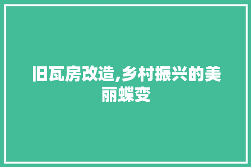 旧瓦房改造,乡村振兴的美丽蝶变