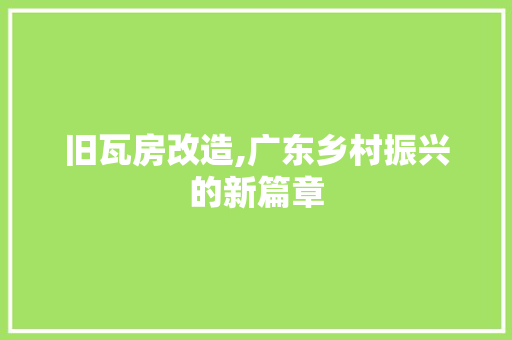 旧瓦房改造,广东乡村振兴的新篇章