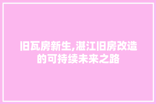 旧瓦房新生,湛江旧房改造的可持续未来之路