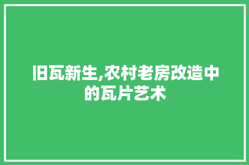 旧瓦新生,农村老房改造中的瓦片艺术