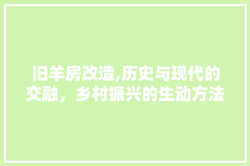 旧羊房改造,历史与现代的交融，乡村振兴的生动方法