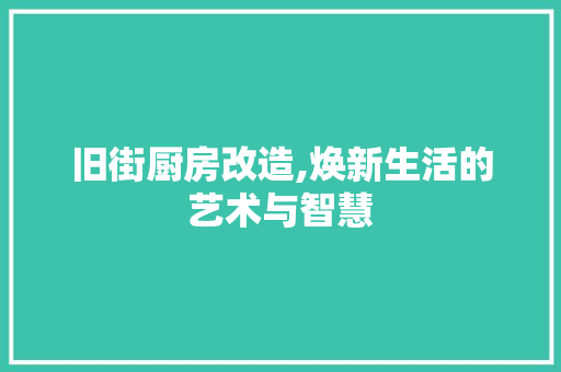 旧街厨房改造,焕新生活的艺术与智慧