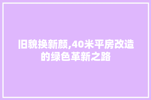 旧貌换新颜,40米平房改造的绿色革新之路