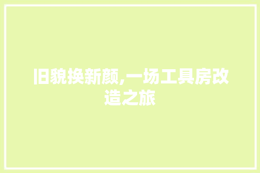 旧貌换新颜,一场工具房改造之旅