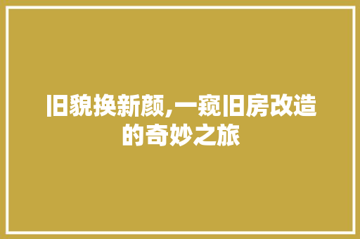 旧貌换新颜,一窥旧房改造的奇妙之旅
