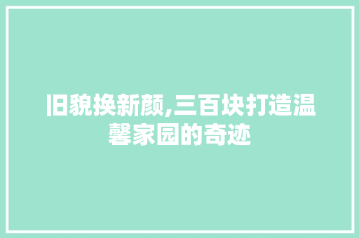 旧貌换新颜,三百块打造温馨家园的奇迹
