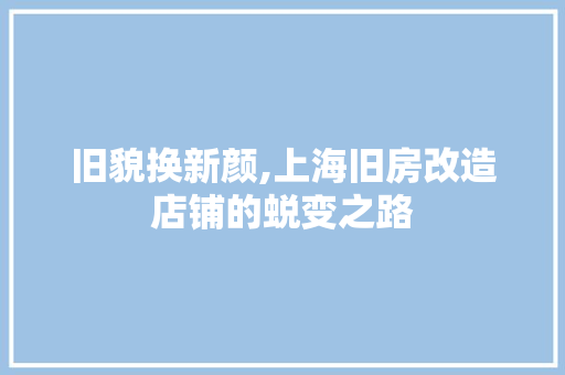 旧貌换新颜,上海旧房改造店铺的蜕变之路 家电维修