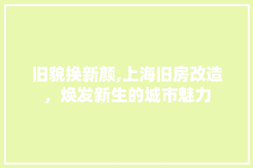 旧貌换新颜,上海旧房改造，焕发新生的城市魅力