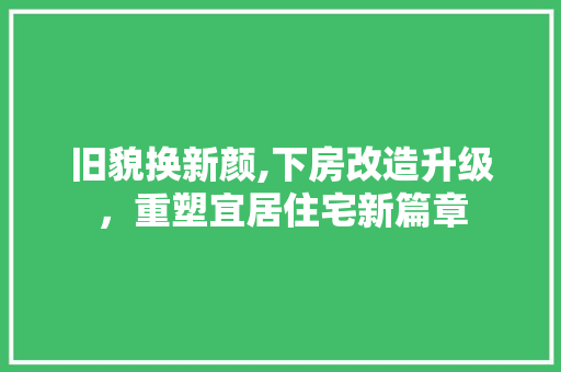 旧貌换新颜,下房改造升级，重塑宜居住宅新篇章
