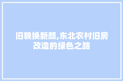 旧貌换新颜,东北农村旧房改造的绿色之路
