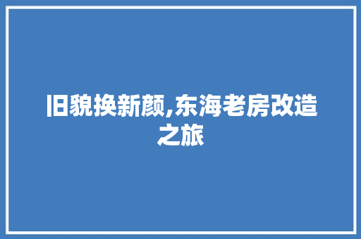 旧貌换新颜,东海老房改造之旅