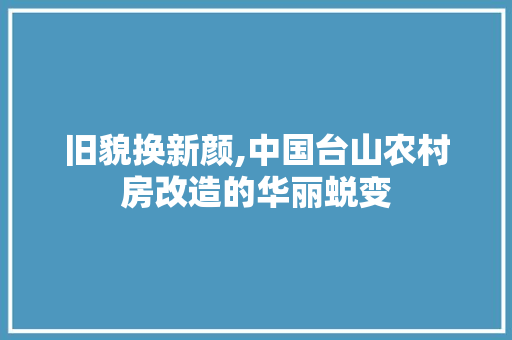 旧貌换新颜,中国台山农村房改造的华丽蜕变