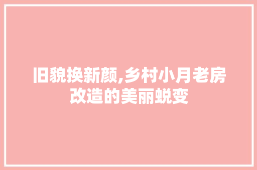 旧貌换新颜,乡村小月老房改造的美丽蜕变