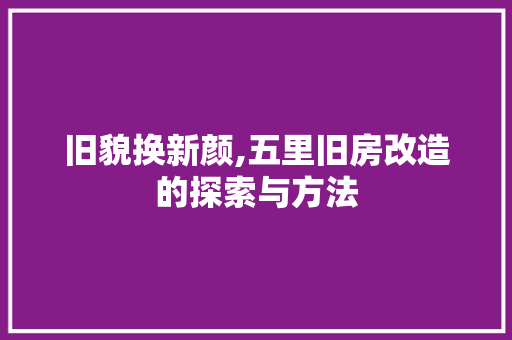 旧貌换新颜,五里旧房改造的探索与方法