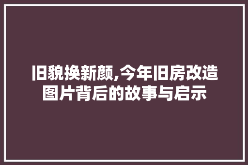 旧貌换新颜,今年旧房改造图片背后的故事与启示