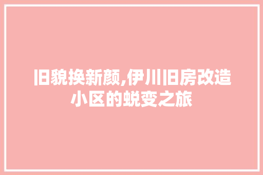 旧貌换新颜,伊川旧房改造小区的蜕变之旅
