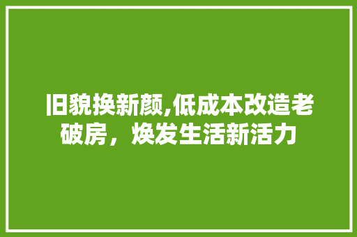 旧貌换新颜,低成本改造老破房，焕发生活新活力