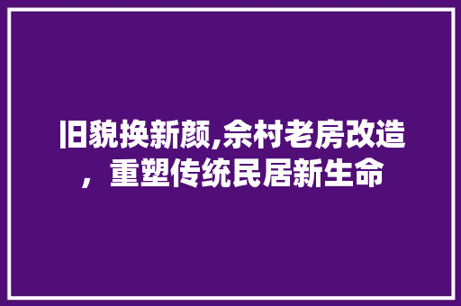 旧貌换新颜,佘村老房改造，重塑传统民居新生命