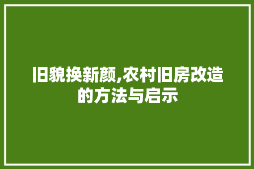 旧貌换新颜,农村旧房改造的方法与启示